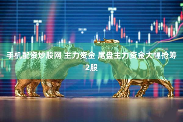 手机配资炒股网 主力资金 尾盘主力资金大幅抢筹2股